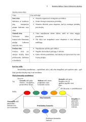 Efektyvios derybos 9 puslapis