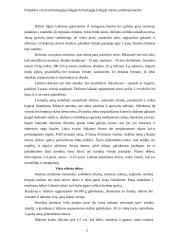 Dešrų gamybos ypatumai 2 puslapis