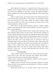 Dešrų gamybos ypatumai 2 puslapis