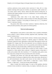 Dešrų gamybos ypatumai 6 puslapis