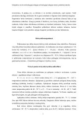 Dešrų gamybos ypatumai 7 puslapis