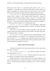 Dešrų gamybos ypatumai 8 puslapis