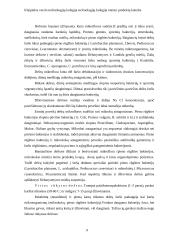 Dešrų gamybos ypatumai 9 puslapis