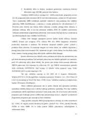 Didelių diskų panaudojimo problemos 11 puslapis