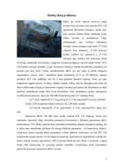 Didelių diskų panaudojimo problemos 3 puslapis