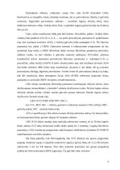 Didelių diskų panaudojimo problemos 4 puslapis