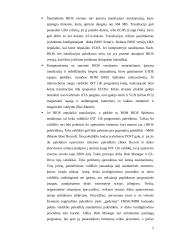 Didelių diskų panaudojimo problemos 5 puslapis