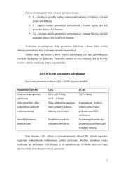 Didelių diskų panaudojimo problemos 7 puslapis