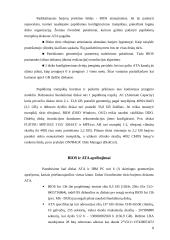 Didelių diskų panaudojimo problemos 8 puslapis