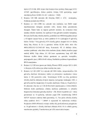 Didelių diskų panaudojimo problemos 9 puslapis