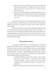 Didelių diskų panaudojimo problemos 10 puslapis