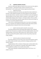 Diferencijuoto mokymo organizavimas 5 puslapis