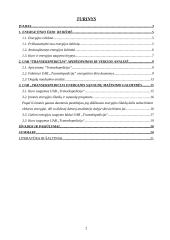 Energijos sąnaudos ir jų mažinimo galimybės krovinių pervežimo įmonėje "Transekspedicija" 2 puslapis