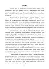 Energijos sąnaudos ir jų mažinimo galimybės krovinių pervežimo įmonėje "Transekspedicija" 3 puslapis
