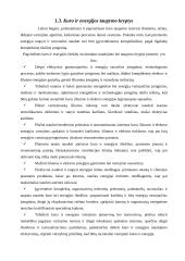 Energijos sąnaudos ir jų mažinimo galimybės krovinių pervežimo įmonėje "Transekspedicija" 7 puslapis