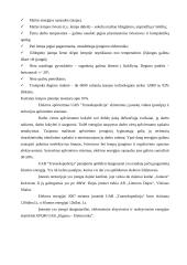 Energijos sąnaudos ir jų mažinimo galimybės krovinių pervežimo įmonėje "Transekspedicija" 10 puslapis