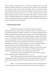 Gamyba ir pardavimai: kepykla UAB "Saulėgrąža" 12 puslapis