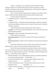 Gamyba ir pardavimai: kepykla UAB "Saulėgrąža" 13 puslapis