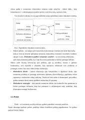 Gamyba ir pardavimai: kepykla UAB "Saulėgrąža" 15 puslapis