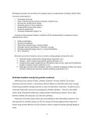 Dirbtinio intelekto samprata 9 puslapis