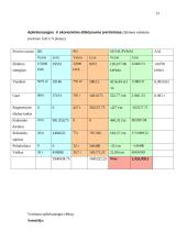 Gamybos procesų optimizavimas 12 puslapis