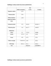 Gamybos procesų optimizavimas 6 puslapis
