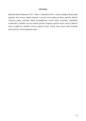 Gyvenimo ciklo papročiai: tradicijų kaita. Vestuvės 11 puslapis