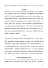 Gyvenimo ciklo papročiai: tradicijų kaita. Vestuvės 6 puslapis