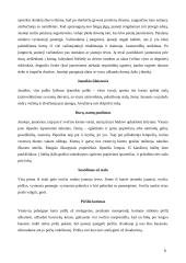 Gyvenimo ciklo papročiai: tradicijų kaita. Vestuvės 7 puslapis