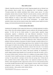 Gyvenimo ciklo papročiai: tradicijų kaita. Vestuvės 8 puslapis