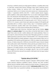 Diskiniai kaupikliai 11 puslapis