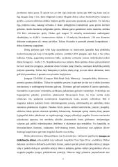 Diskiniai kaupikliai 12 puslapis