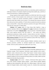 Diskiniai kaupikliai 4 puslapis