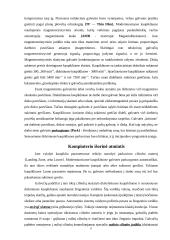 Diskiniai kaupikliai 7 puslapis