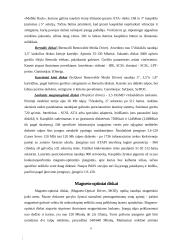 Diskiniai kaupikliai 10 puslapis