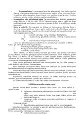 Įmonės kainodaros analizė: UAB "Estėja" 13 puslapis