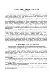 Įmonės kainodaros analizė: UAB "Estėja" 5 puslapis