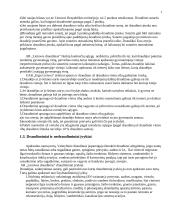 Namų turto draudimas ir įmonės teikiančios tokį draudimą 4 puslapis