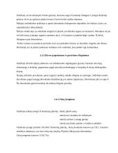 Individualios sodybos dekoratyvinio apželdinimo kursinis projektas 8 puslapis