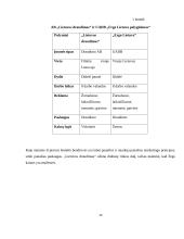 Draudimo marketingo aplinka Lietuvoje 15 puslapis