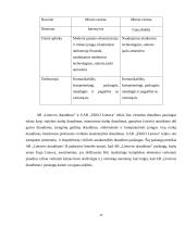 Draudimo marketingo aplinka Lietuvoje 17 puslapis