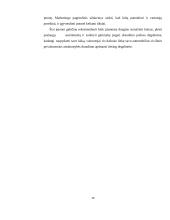 Draudimo marketingo aplinka Lietuvoje 19 puslapis