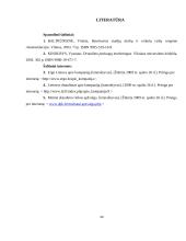 Draudimo marketingo aplinka Lietuvoje 20 puslapis