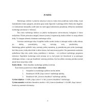 Draudimo marketingo aplinka Lietuvoje 3 puslapis