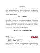 Draudimo marketingo aplinka Lietuvoje 5 puslapis