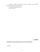 Draudimo objektai ir teisės 13 puslapis