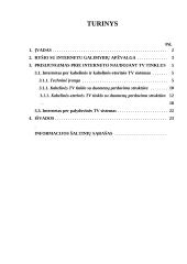 Internetas per kabelinės ir palydovinės TV sistemas 3 puslapis