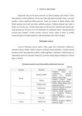 Drėgnasis augimo sezonas 2 puslapis