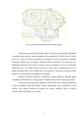 Drėgnasis augimo sezonas 5 puslapis