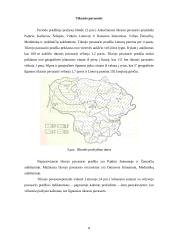 Drėgnasis augimo sezonas 6 puslapis